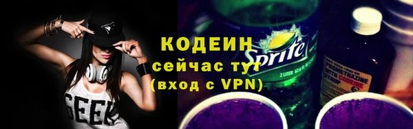 индика Беломорск