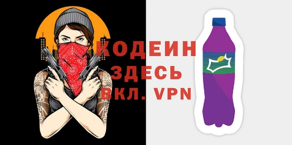 индика Беломорск