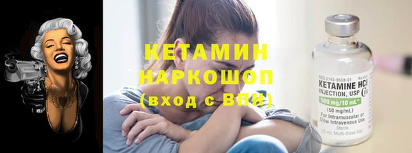 индика Беломорск