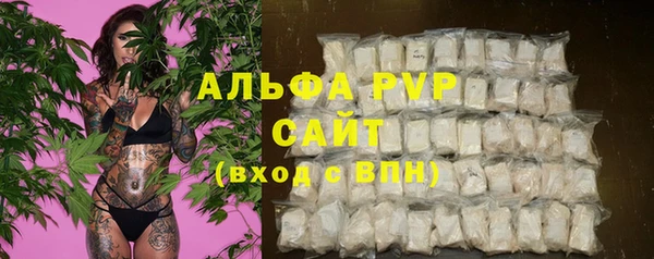индика Беломорск