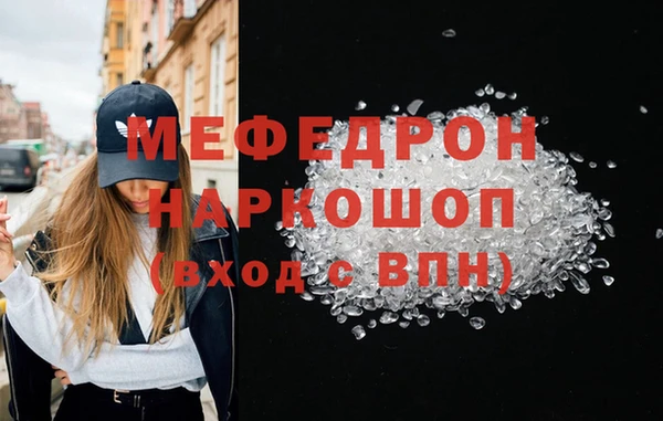 индика Беломорск