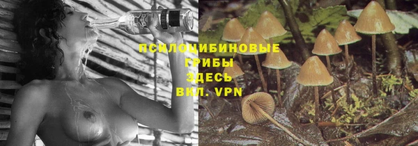 индика Беломорск