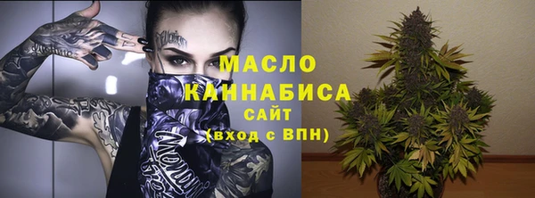 индика Беломорск