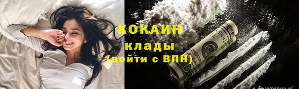индика Беломорск