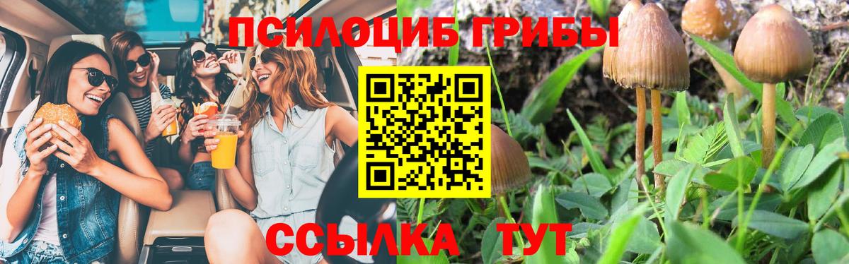 Галлюциногенные грибы GOLDEN TEACHER Острогожск