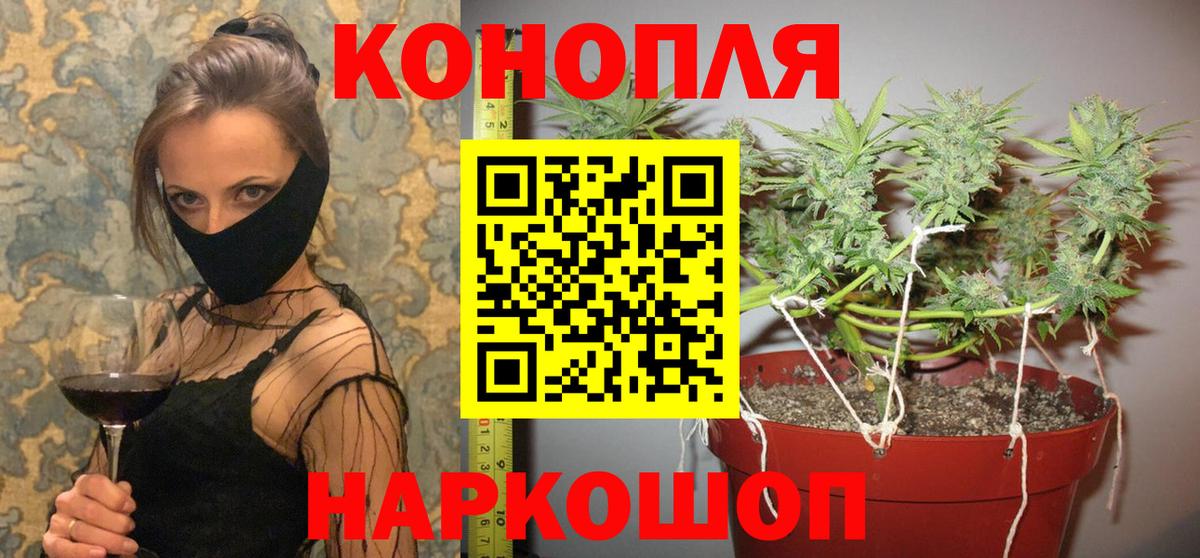 Марихуана семена Острогожск